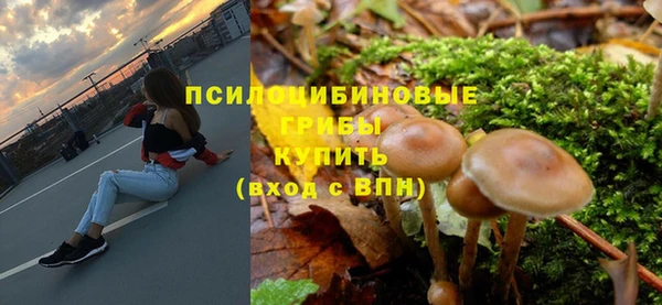 Альфа ПВП Горняк