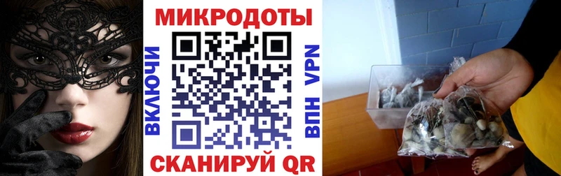 Галлюциногенные грибы Cubensis  Купить где  Обь 