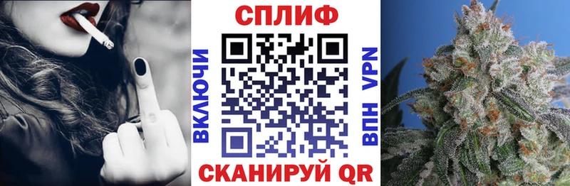 Конопля SATIVA & INDICA Обь
